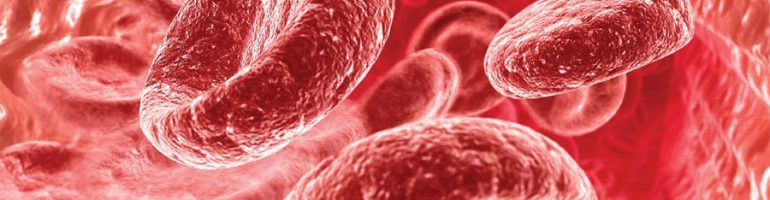 Роль гемоглобина в жизни человека