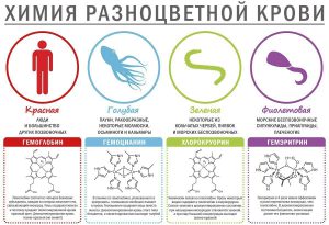 Обливион где ключ от форта голубой крови