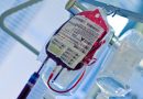 Переливание крови при пониженном гемоглобине