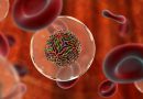 Анализ крови на гепатит HCV