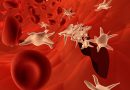 Почему повышаются тромбоциты в крови