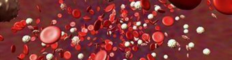 Почему понижаются лимфоциты в крови