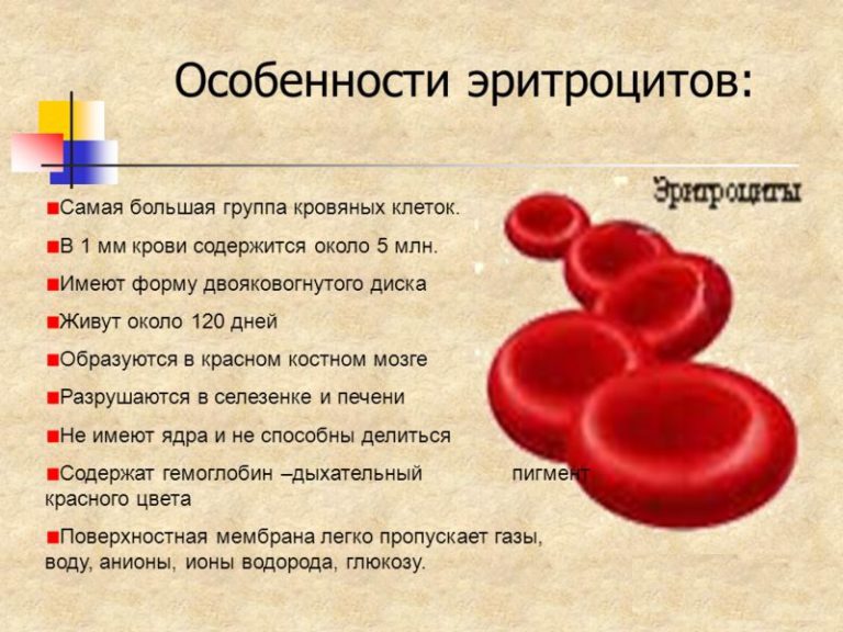 Проект почему кровь красная