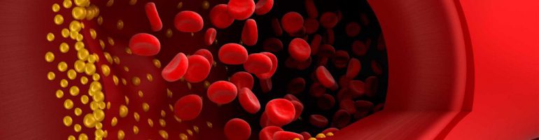 Как поднять уровень тромбоцитов в крови