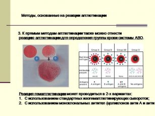 Изучите рисунок и установите какая группа крови