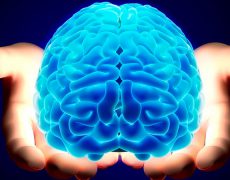 Что такое смешанная гидроцефалия головного мозга