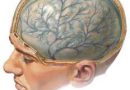 Атрофия коры головного мозга