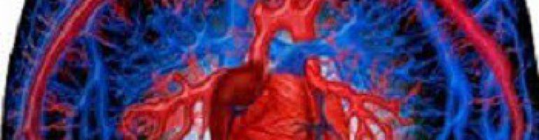 Атриовентрикулярная блокада сердца