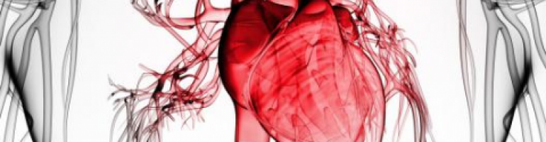 Ишемия миокарда сердечной мышцы