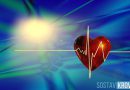 Что такое фонокардиография сердца